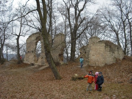 New_P 036.jpg