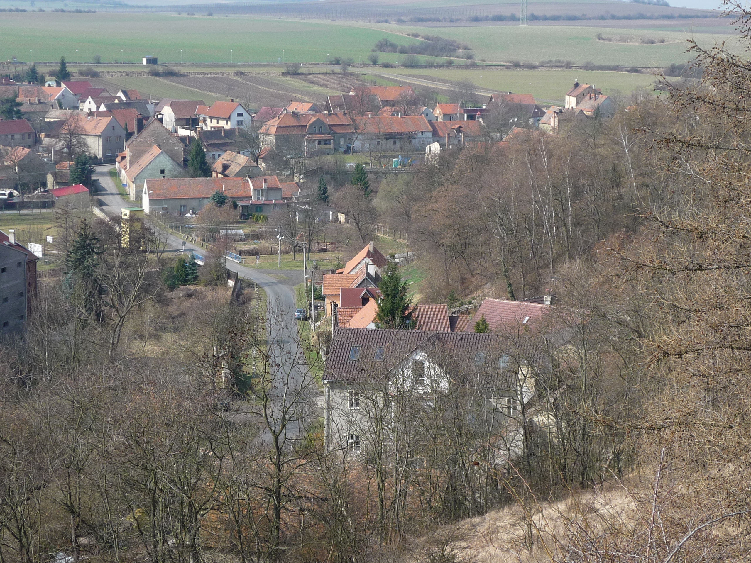 P1160991